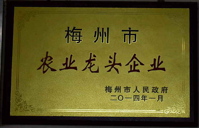 梅州市農(nóng)業(yè)龍頭企業(yè)