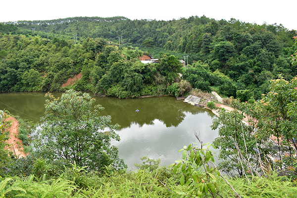 養(yǎng)魚(yú)基地