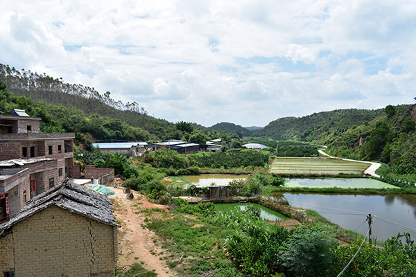 養(yǎng)魚基地