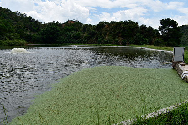 養(yǎng)魚基地