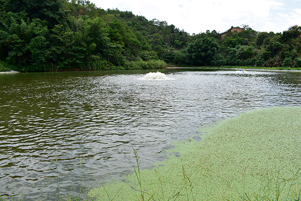 養(yǎng)魚基地