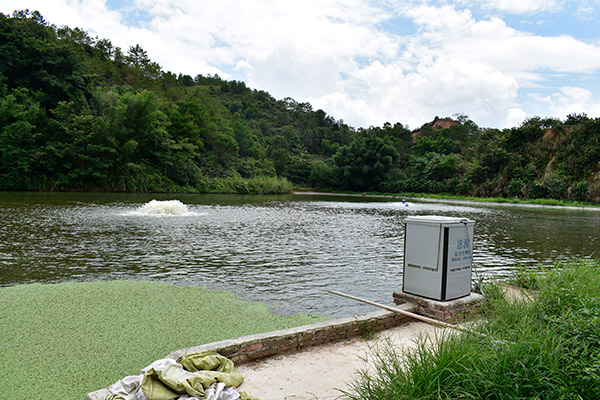 養(yǎng)魚基地