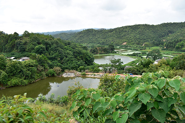 養(yǎng)魚基地