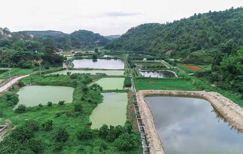 養(yǎng)魚(yú)基地