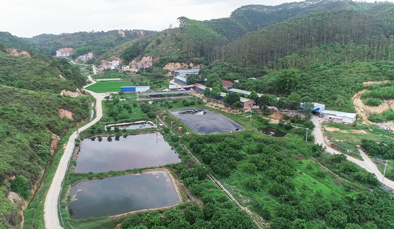 養(yǎng)魚(yú)基地