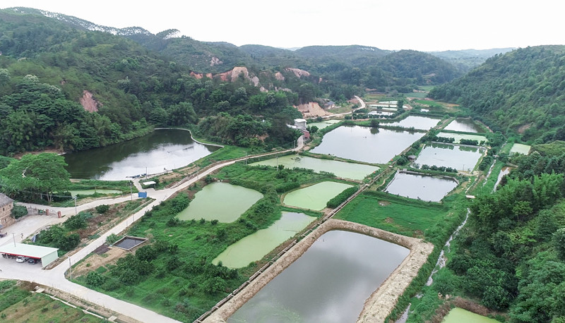 養(yǎng)魚(yú)基地